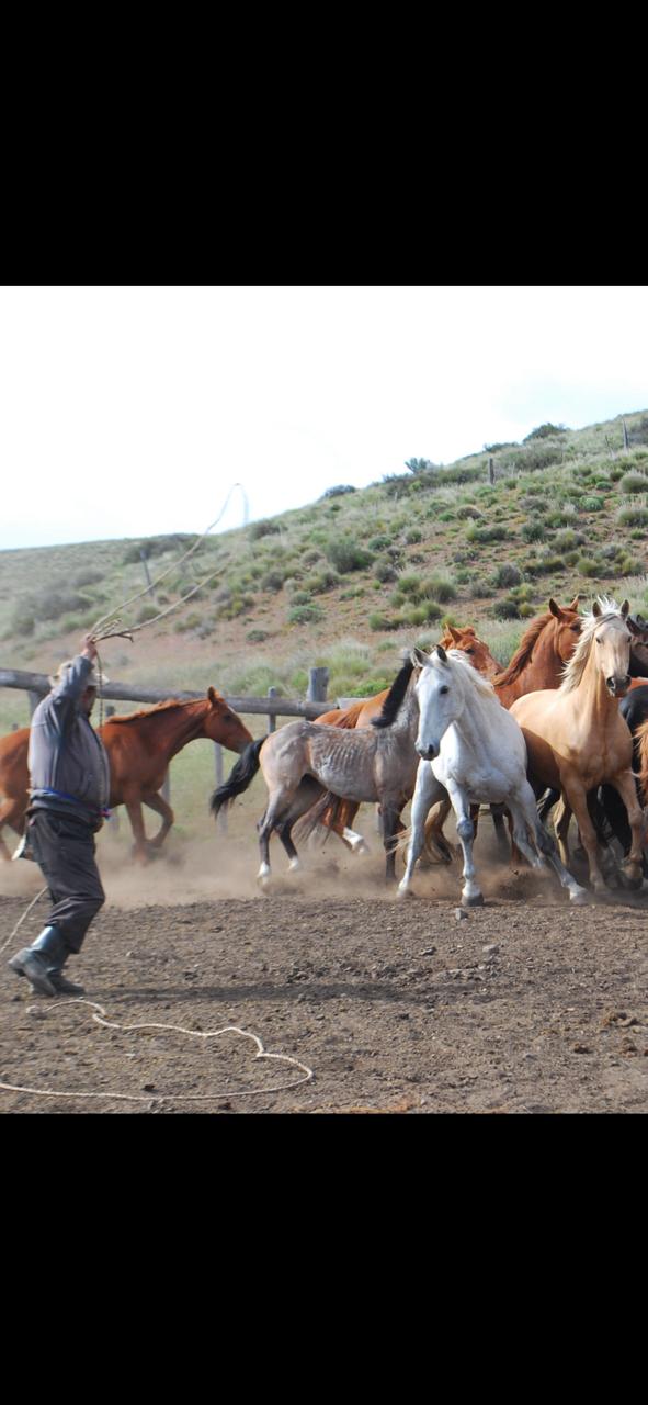 Experiencias rurales