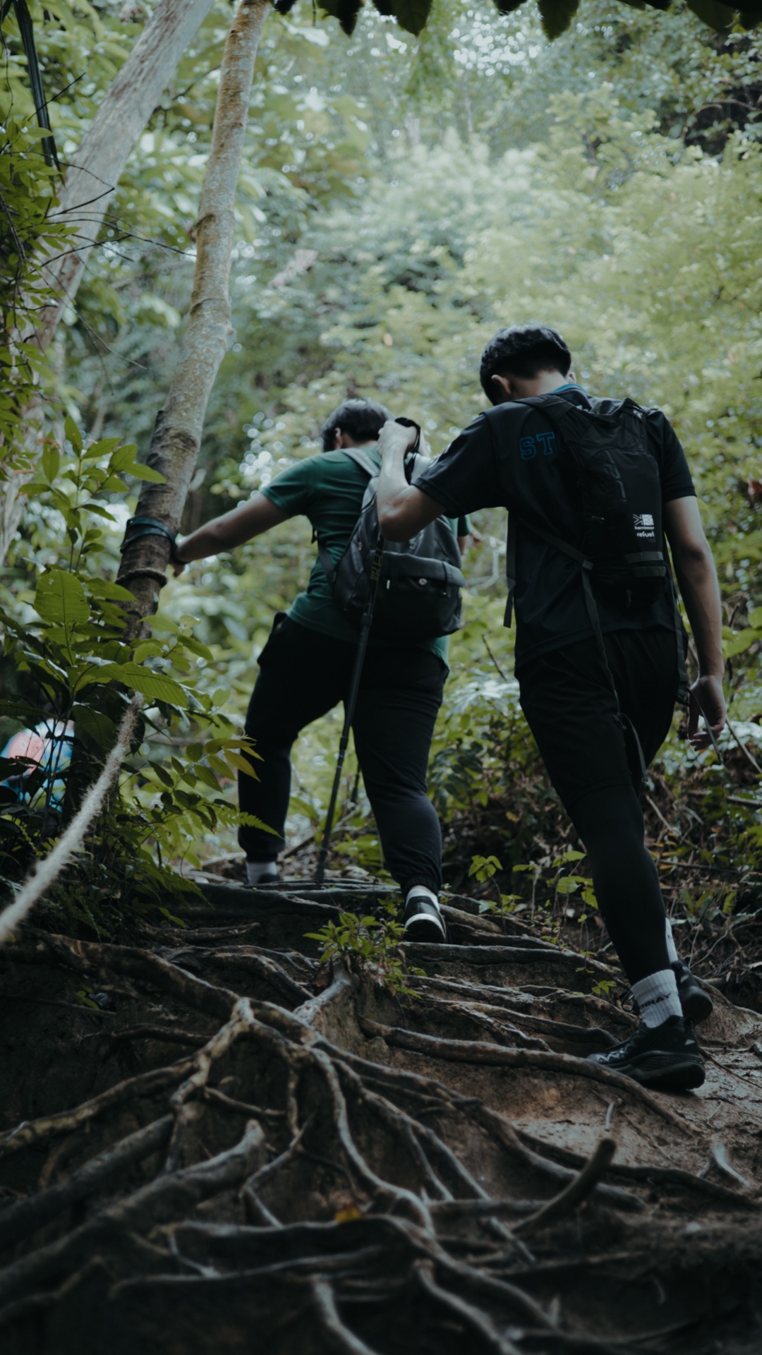 Trekking