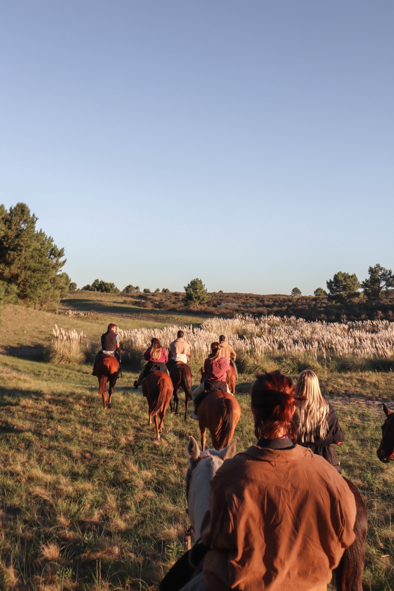 Cabalgatas